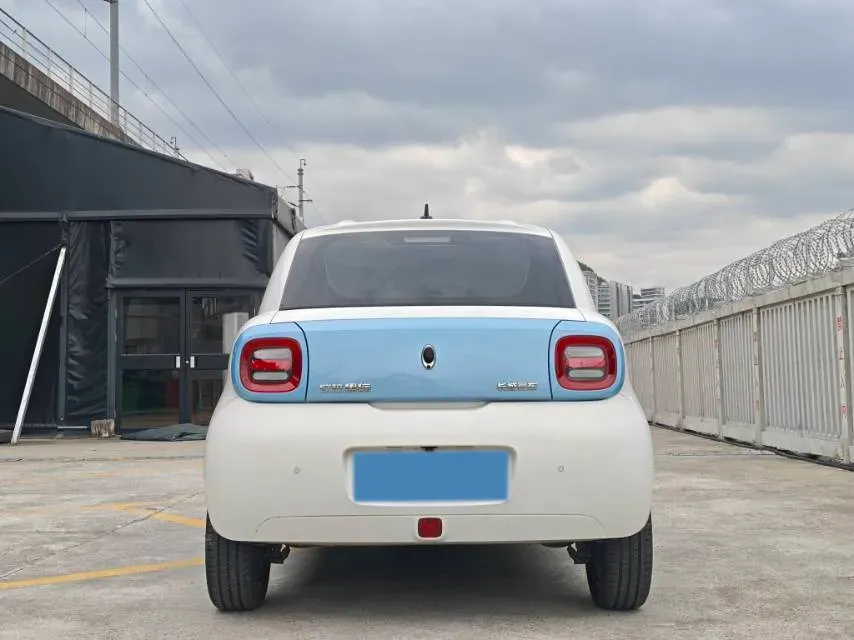2019 Ora BlackCat BEV 33KWH,autocango,china used car exporter,china ev exporter,chinese used car exporter,chinese used ev exporter