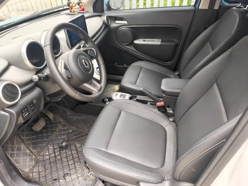 2019 Ora BlackCat BEV 33KWH,autocango,china used car exporter,china ev exporter,chinese used car exporter,chinese used ev exporter