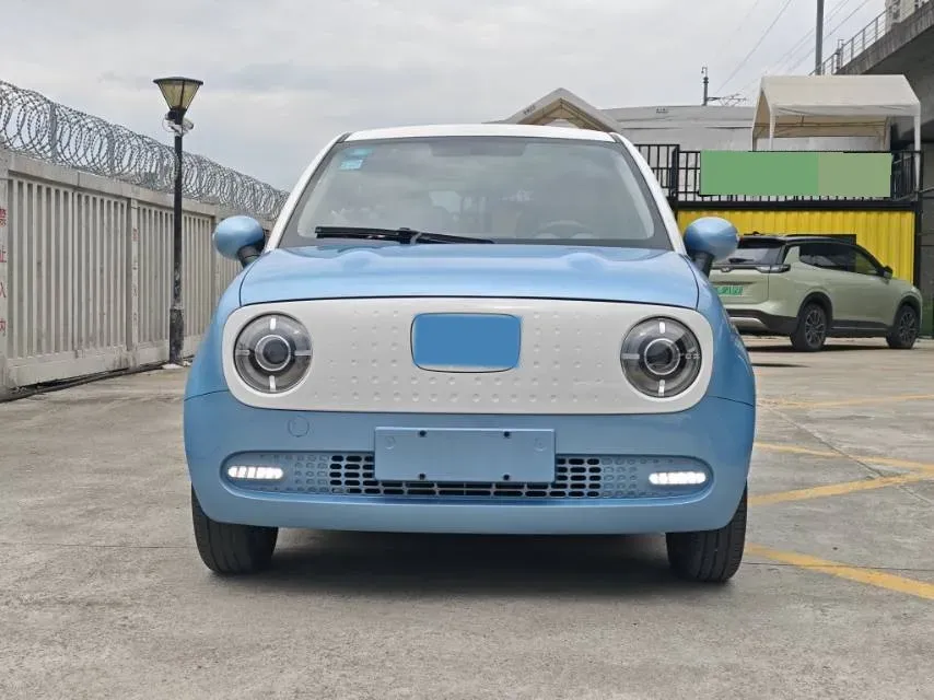 2019 Ora BlackCat BEV 33KWH,autocango,china used car exporter,china ev exporter,chinese used car exporter,chinese used ev exporter