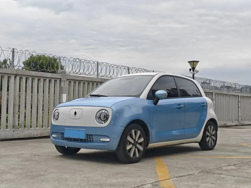 2019 Ora BlackCat BEV 33KWH,autocango,china used car exporter,china ev exporter,chinese used car exporter,chinese used ev exporter