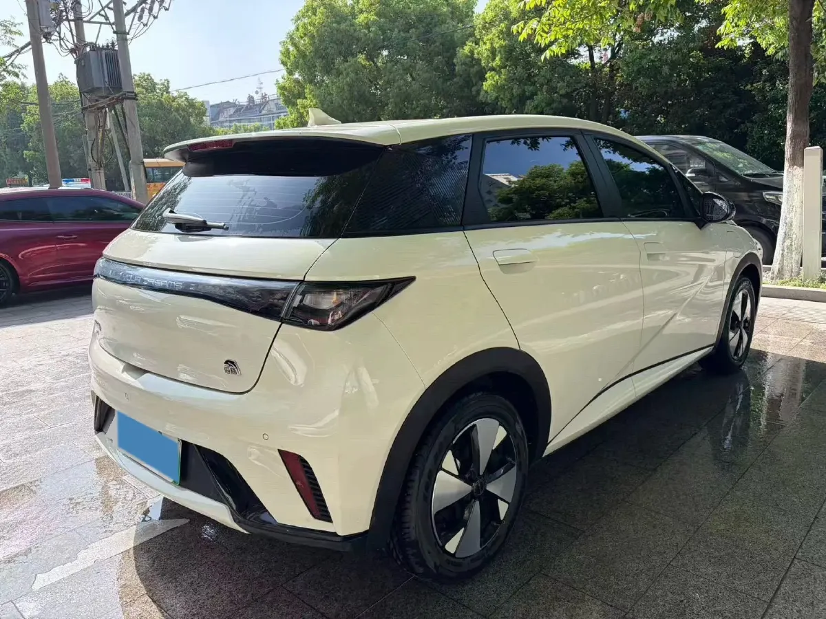 2023 BYD Dolphin BEV 44.928KWH,autocango,china used car exporter,china ev exporter,chinese used car exporter,chinese used ev exporter