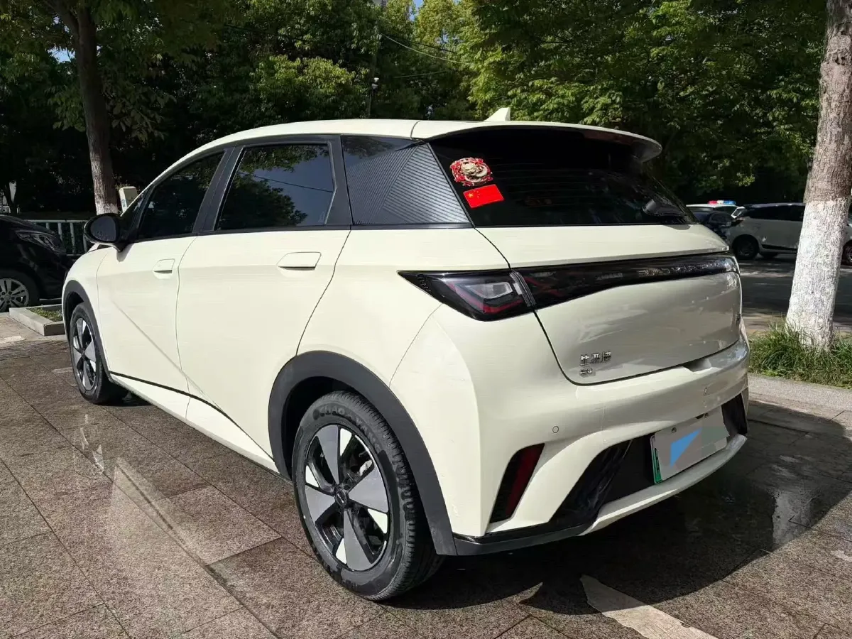 2023 BYD Dolphin BEV 44.928KWH,autocango,china used car exporter,china ev exporter,chinese used car exporter,chinese used ev exporter