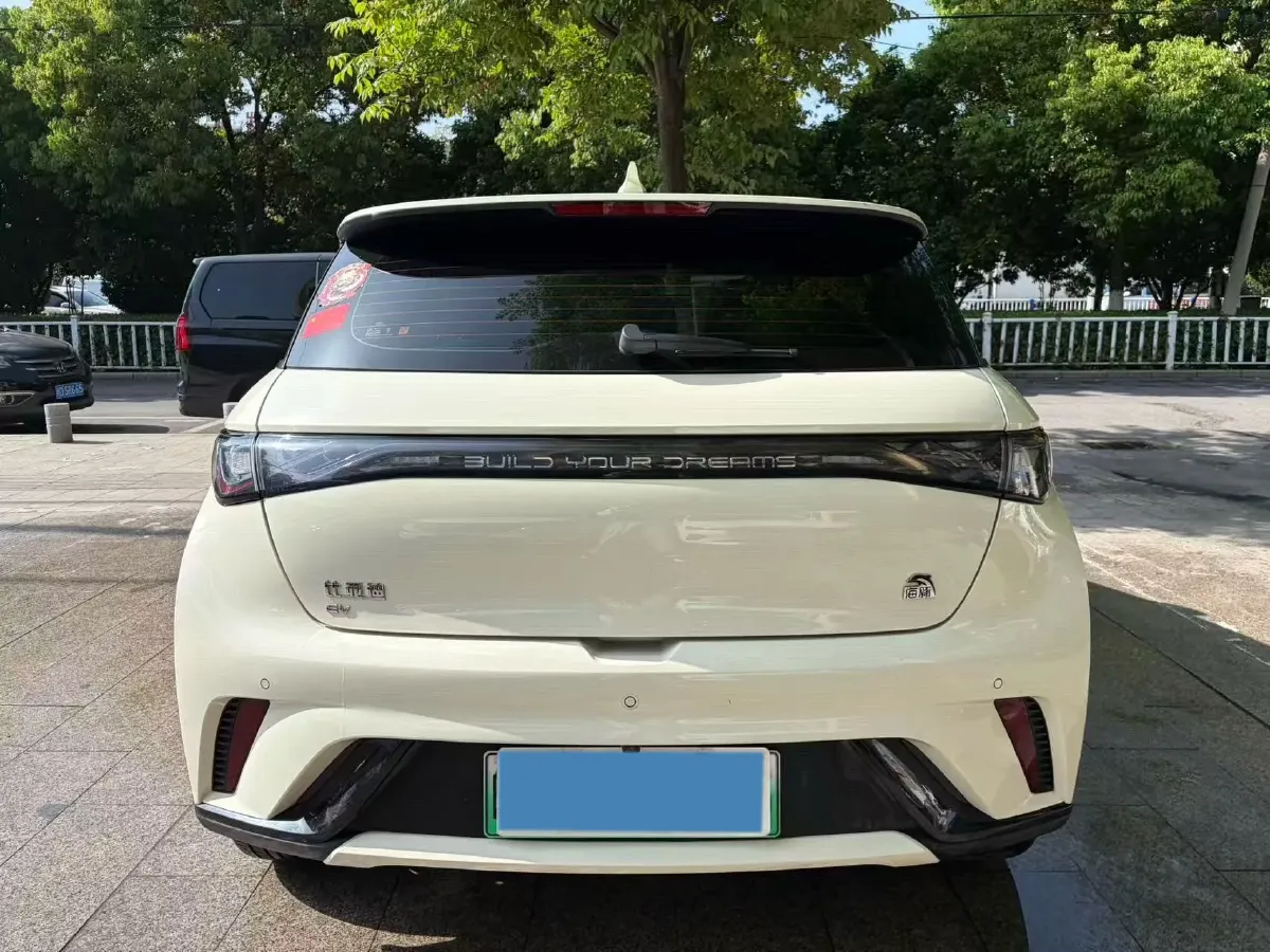2023 BYD Dolphin BEV 44.928KWH,autocango,china used car exporter,china ev exporter,chinese used car exporter,chinese used ev exporter