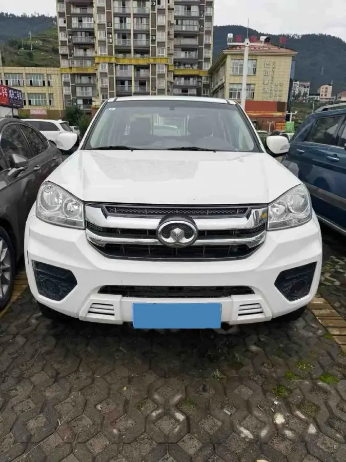 2021 Great Wall Wingle 5 2.0T 139HP L4 6MT,autocango,china used car exporter,china ev exporter,chinese used car exporter,chinese used ev exporter