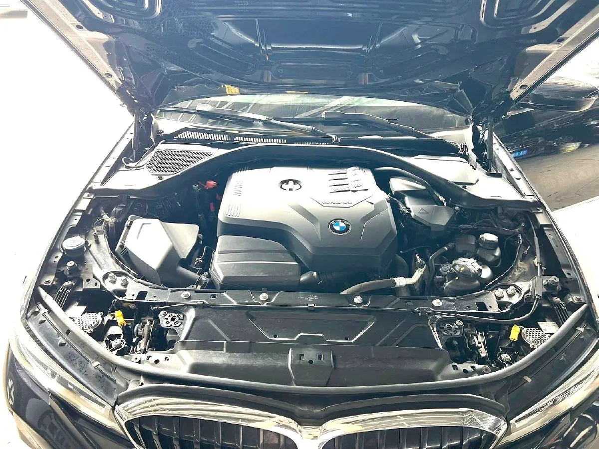 2021 BMW 3 Series 2.0T 184HP L4 8AT,autocango,china used car exporter,china ev exporter,chinese used car exporter,chinese used ev exporter