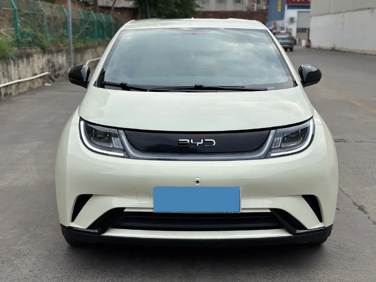 2024 BYD Dolphin BEV 44.928KWH,autocango,china used car exporter,china ev exporter,chinese used car exporter,chinese used ev exporter