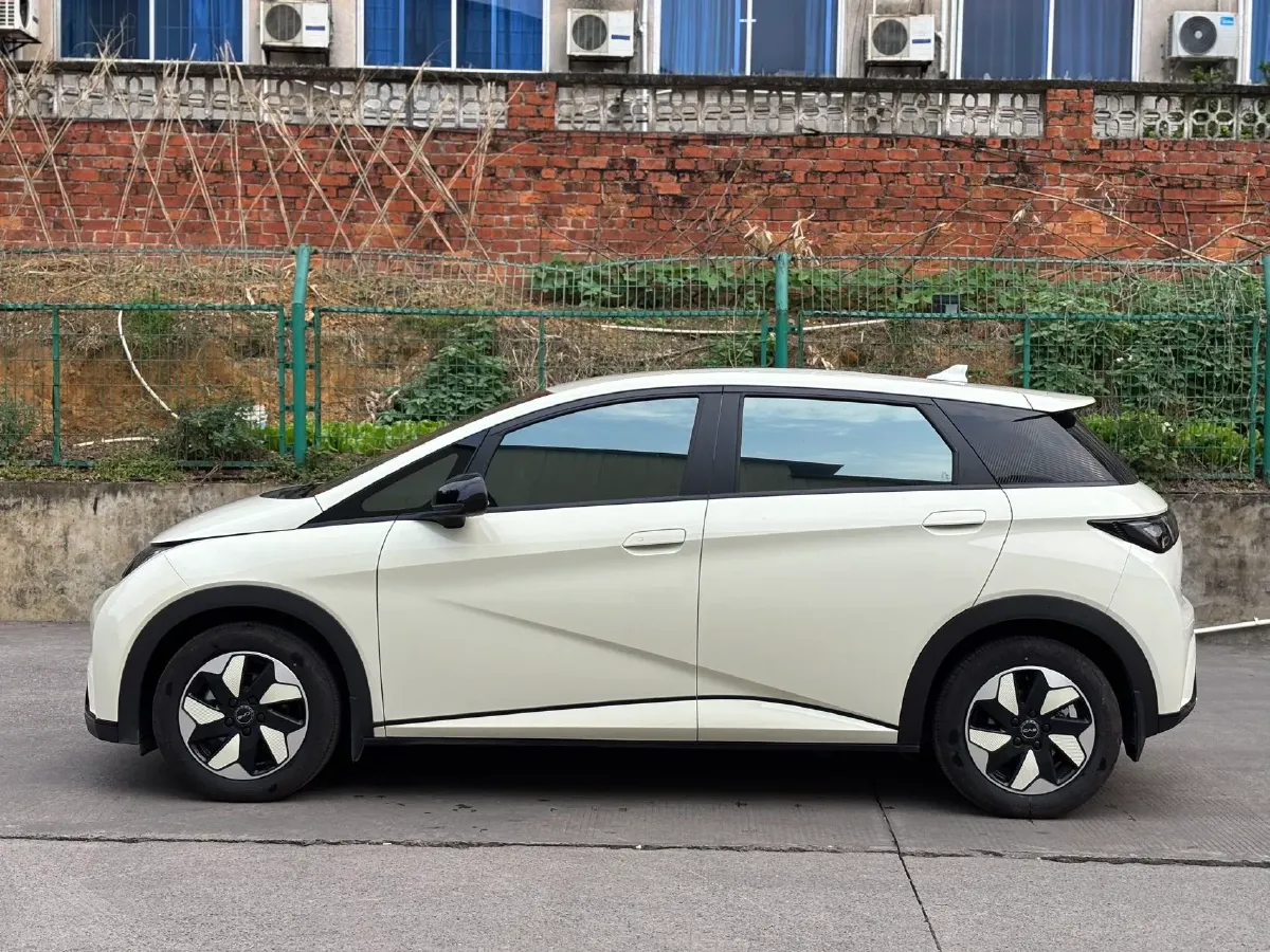 2024 BYD Dolphin BEV 44.928KWH,autocango,china used car exporter,china ev exporter,chinese used car exporter,chinese used ev exporter