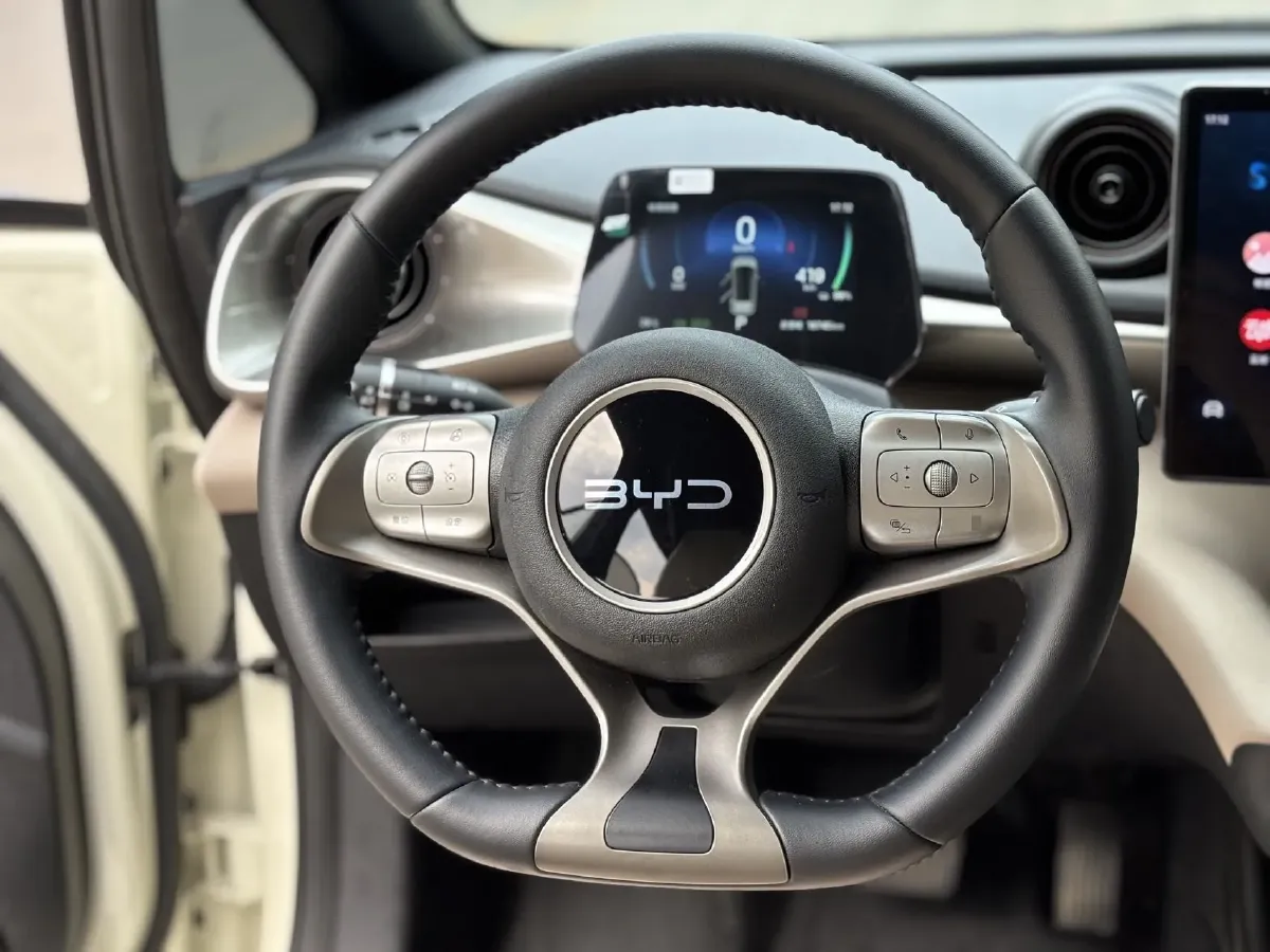 2024 BYD Dolphin BEV 44.928KWH,autocango,china used car exporter,china ev exporter,chinese used car exporter,chinese used ev exporter