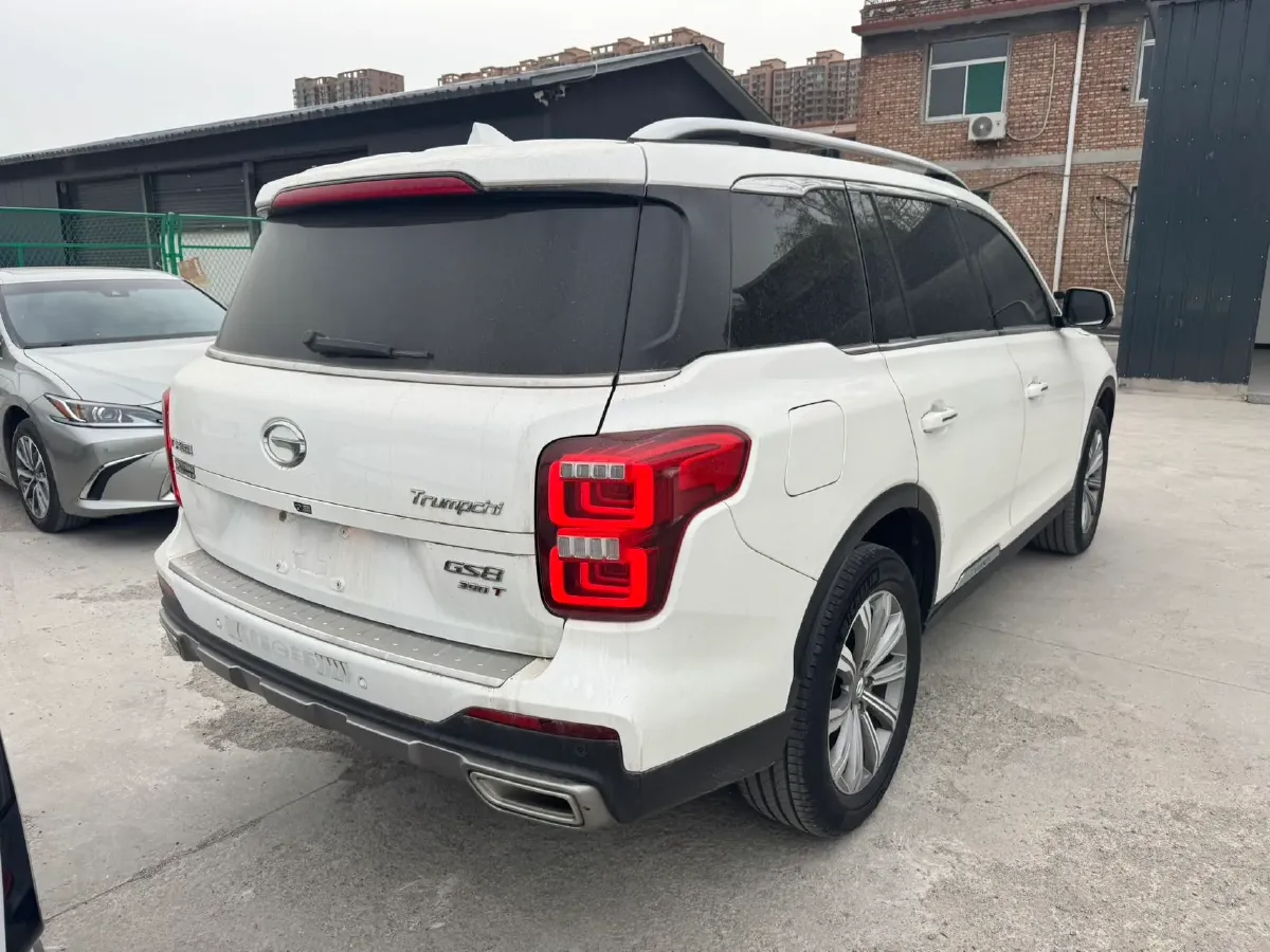 2020 GAC Trumpchi GS8 2.0T 252HP L4 6AT,autocango,china used car exporter,china ev exporter,chinese used car exporter,chinese used ev exporter