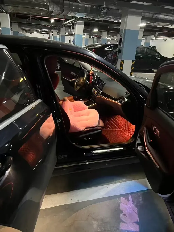 2021 BMW 3 Series 2.0T 156HP L4 8AT,autocango,china used car exporter,china ev exporter,chinese used car exporter,chinese used ev exporter