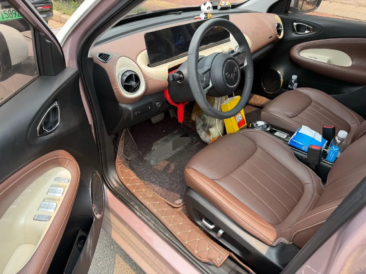 2023 WuLing BinGuo BEV 31.9KWH,autocango,china used car exporter,china ev exporter,chinese used car exporter,chinese used ev exporter