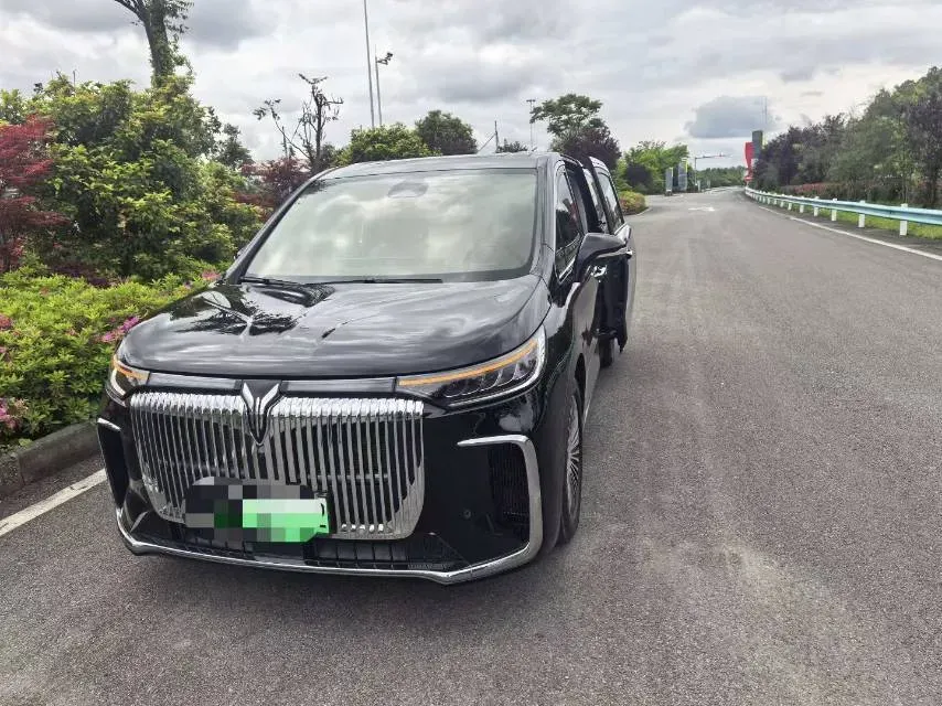 2025 Voyah Dream 1.5T 150HP L4 PHEV 41.7KWH,autocango,china used car exporter,china ev exporter,chinese used car exporter,chinese used ev exporter