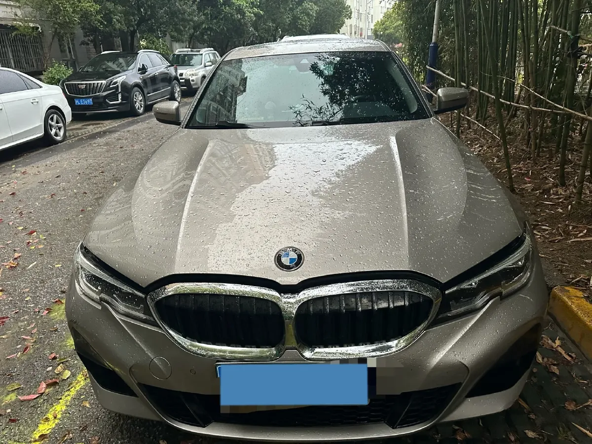 2020 BMW 3 Series 2.0T 184HP L4 8AT,autocango,china used car exporter,china ev exporter,chinese used car exporter,chinese used ev exporter
