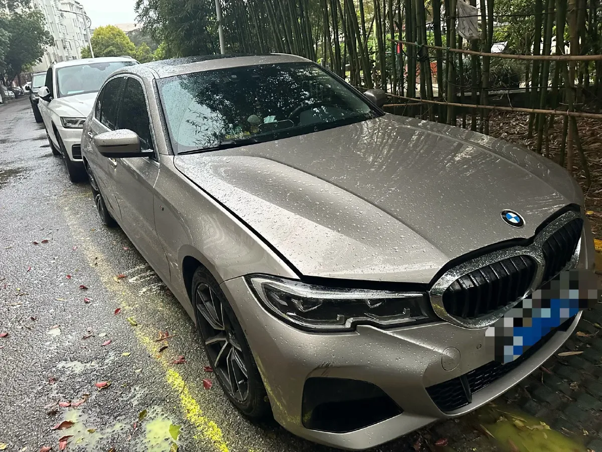 2020 BMW 3 Series 2.0T 184HP L4 8AT,autocango,china used car exporter,china ev exporter,chinese used car exporter,chinese used ev exporter