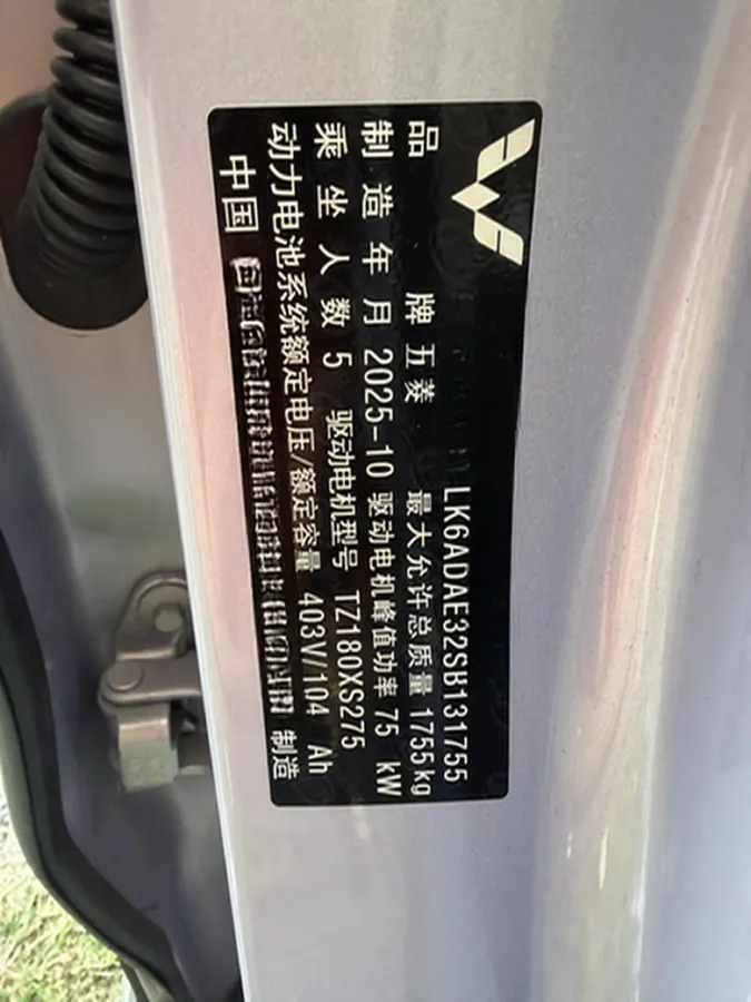 2025 WuLing BinGuo BEV,autocango,china used car exporter,china ev exporter,chinese used car exporter,chinese used ev exporter