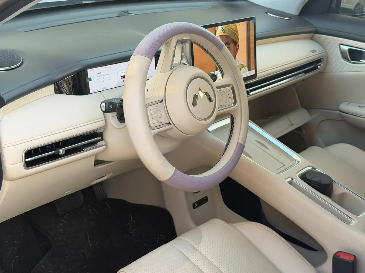 2025 WuLing BinGuo BEV,autocango,china used car exporter,china ev exporter,chinese used car exporter,chinese used ev exporter