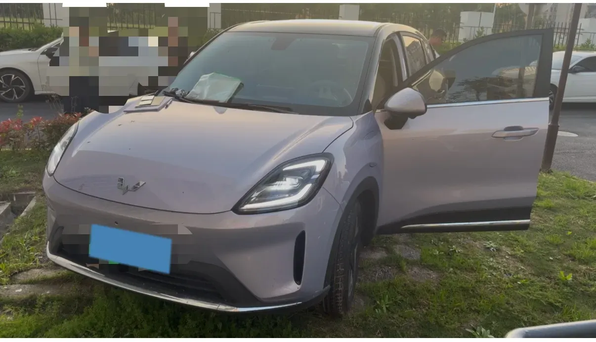 2025 WuLing BinGuo BEV,autocango,china used car exporter,china ev exporter,chinese used car exporter,chinese used ev exporter