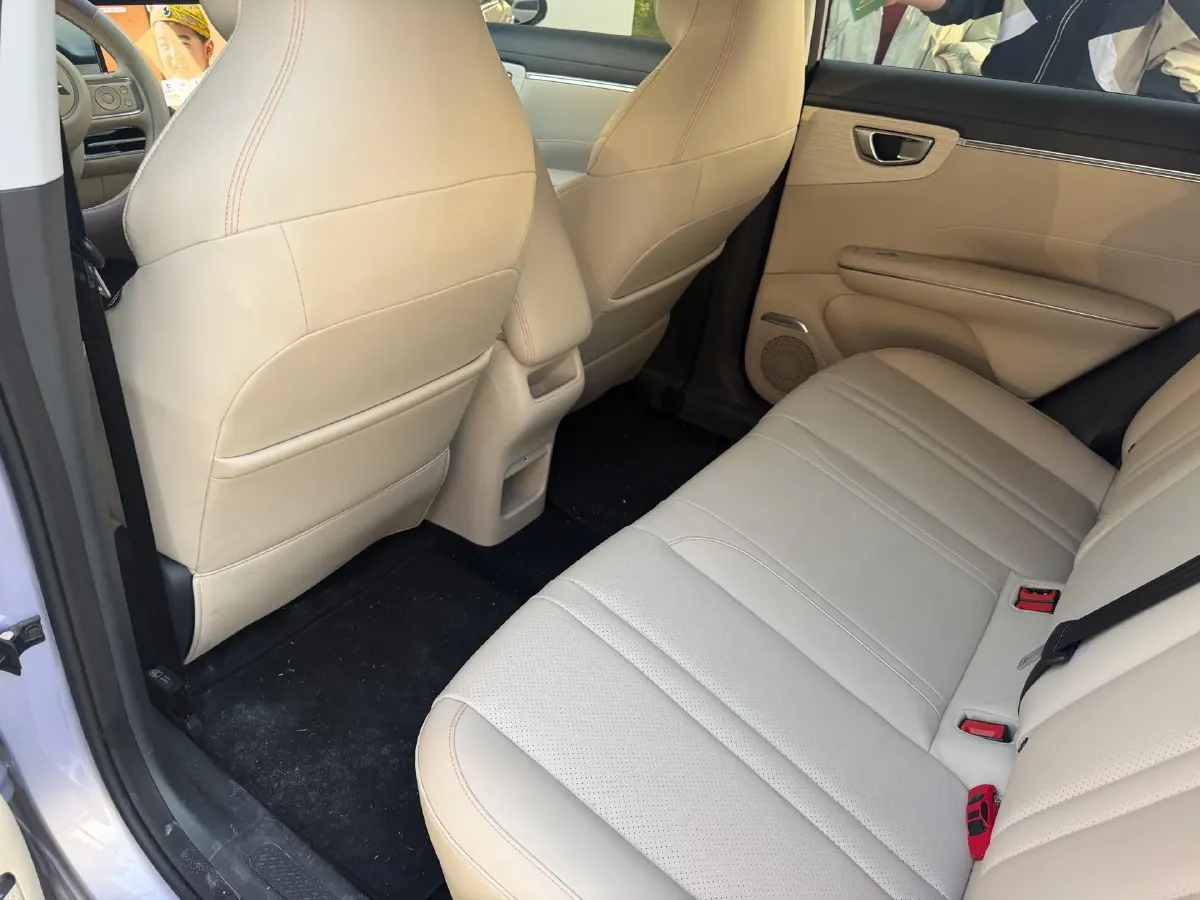 2025 WuLing BinGuo BEV,autocango,china used car exporter,china ev exporter,chinese used car exporter,chinese used ev exporter