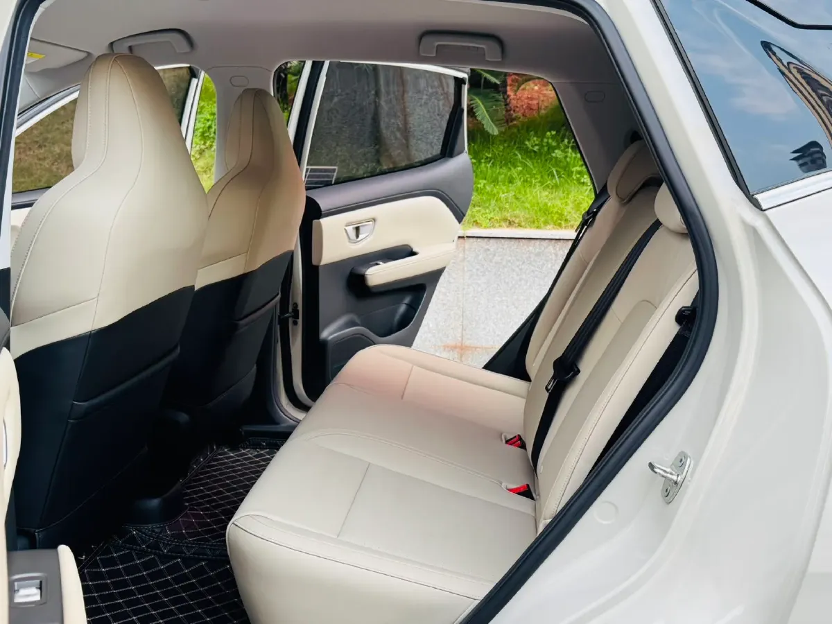 2024 WuLing BinGuoPLUS BEV 31.9KWH,autocango,china used car exporter,china ev exporter,chinese used car exporter,chinese used ev exporter