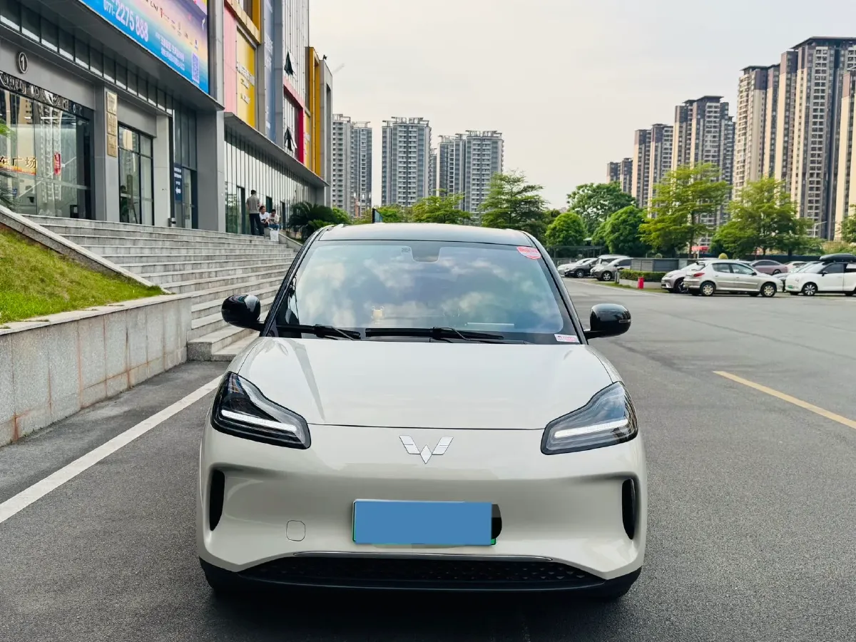 2024 WuLing BinGuoPLUS BEV 31.9KWH,autocango,china used car exporter,china ev exporter,chinese used car exporter,chinese used ev exporter