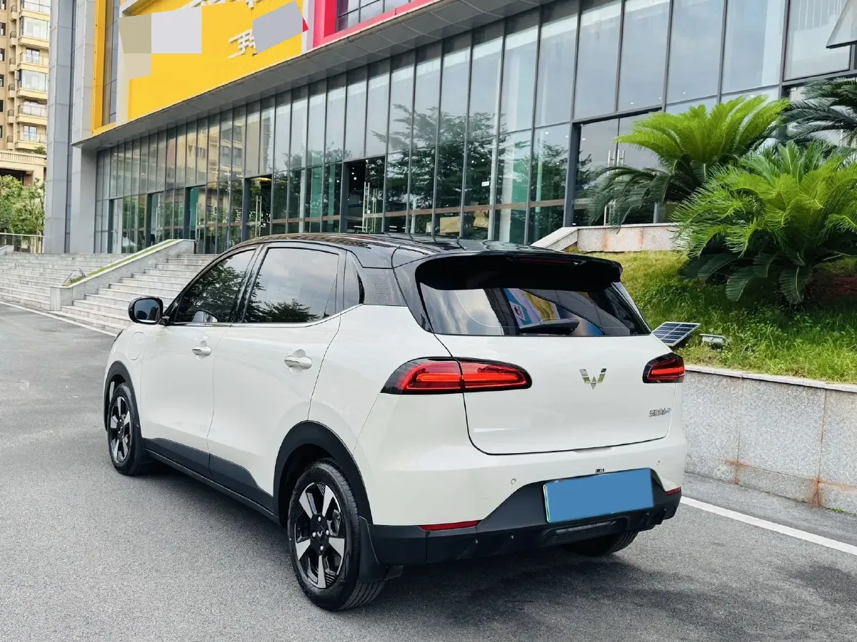 2024 WuLing BinGuoPLUS BEV 31.9KWH,autocango,china used car exporter,china ev exporter,chinese used car exporter,chinese used ev exporter