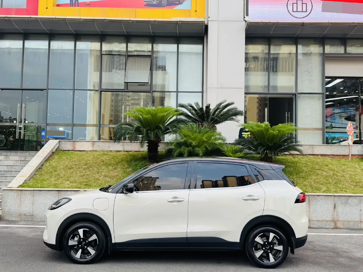 2024 WuLing BinGuoPLUS BEV 31.9KWH,autocango,china used car exporter,china ev exporter,chinese used car exporter,chinese used ev exporter