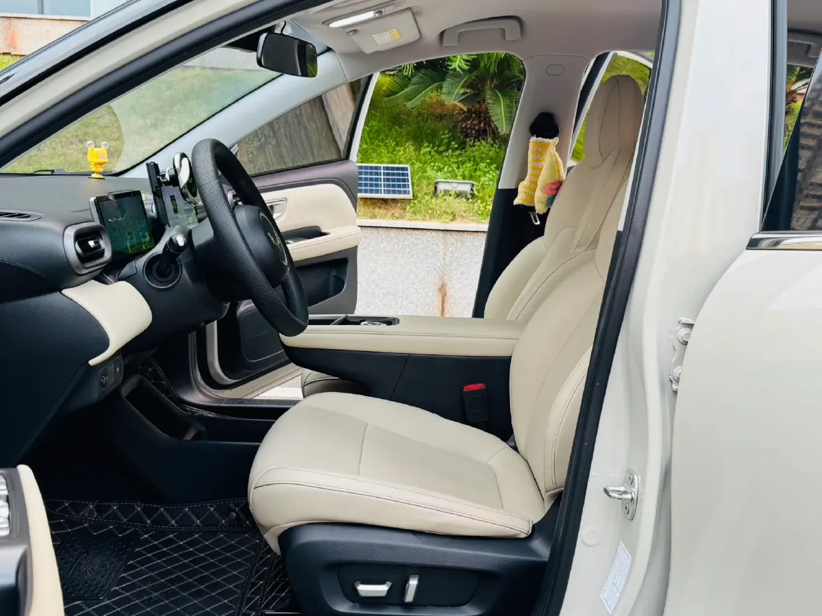 2024 WuLing BinGuoPLUS BEV 31.9KWH,autocango,china used car exporter,china ev exporter,chinese used car exporter,chinese used ev exporter