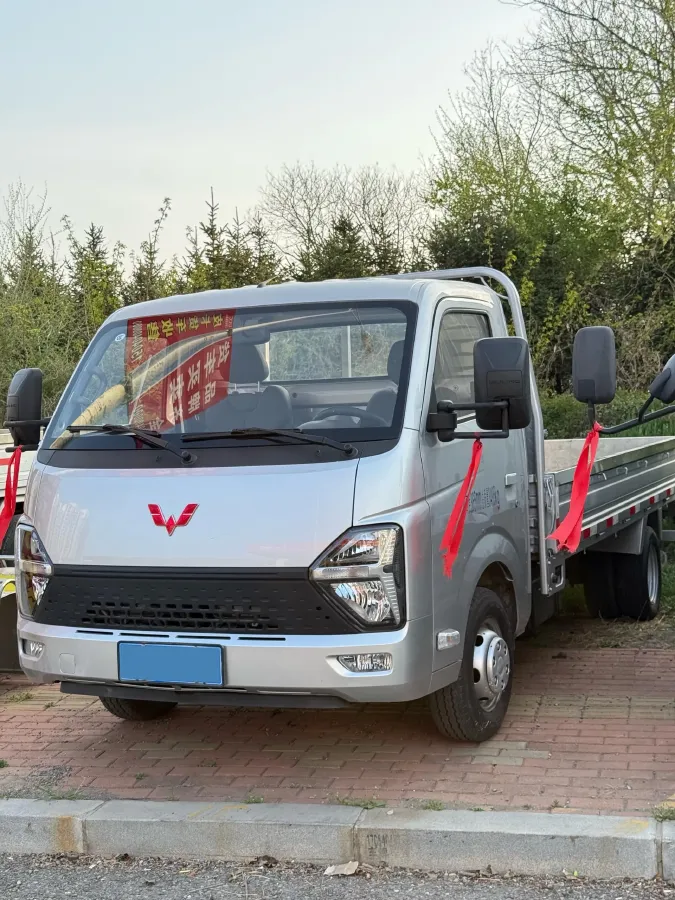 2023 WuLing Loong Truck 2.0L 136HP L4 5MT,autocango,china used car exporter,china ev exporter,chinese used car exporter,chinese used ev exporter