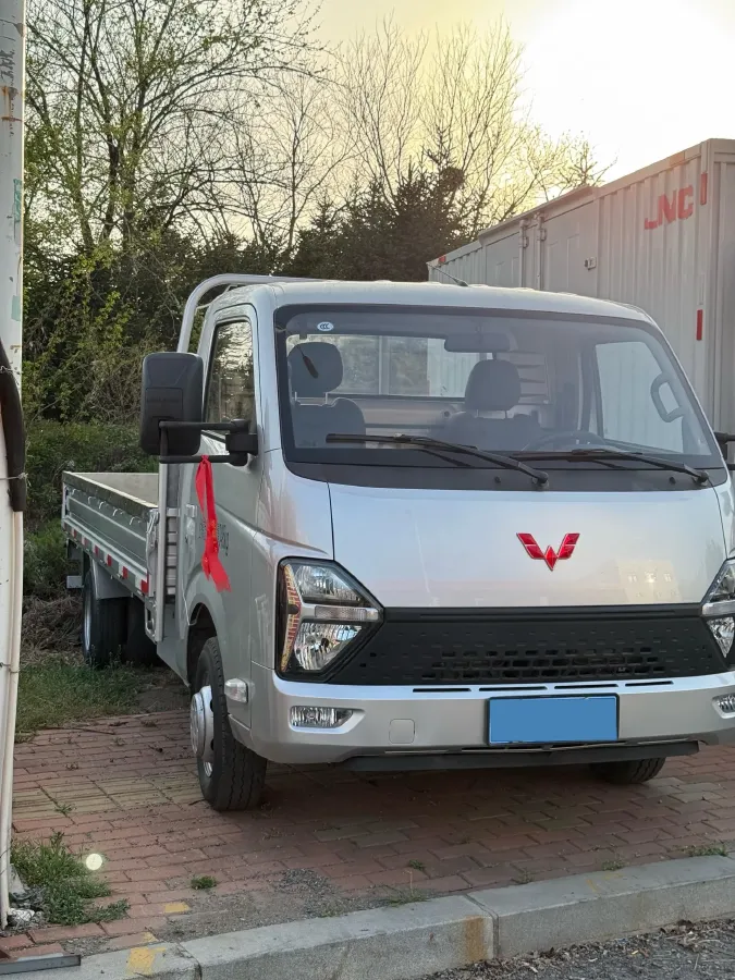 2023 WuLing Loong Truck 2.0L 136HP L4 5MT,autocango,china used car exporter,china ev exporter,chinese used car exporter,chinese used ev exporter