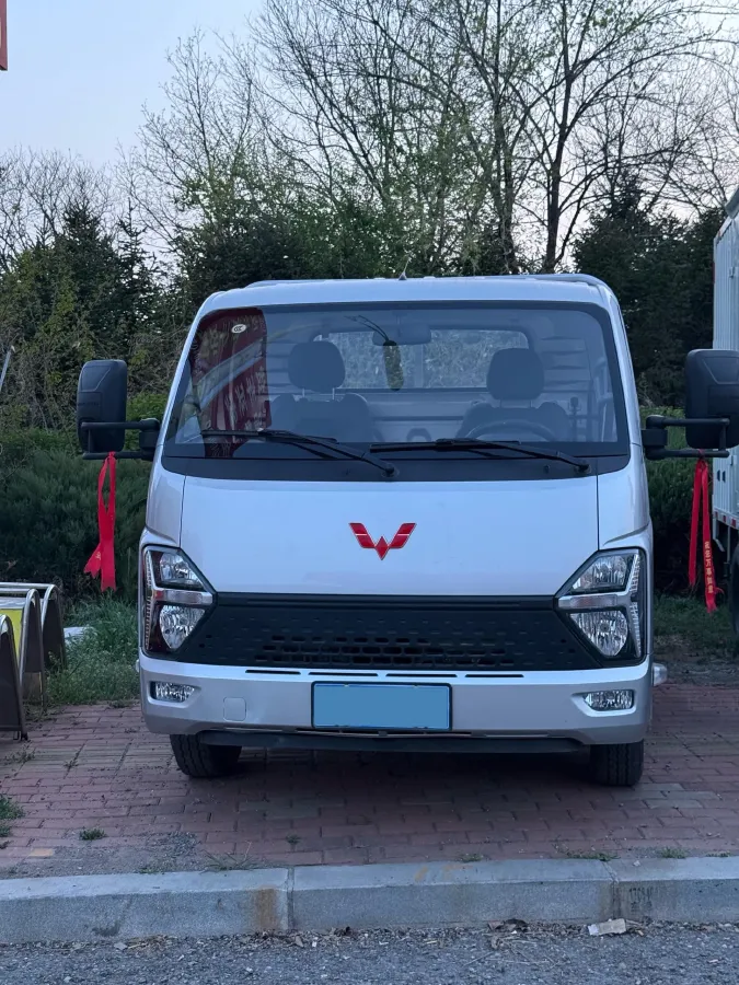 2023 WuLing Loong Truck 2.0L 136HP L4 5MT,autocango,china used car exporter,china ev exporter,chinese used car exporter,chinese used ev exporter