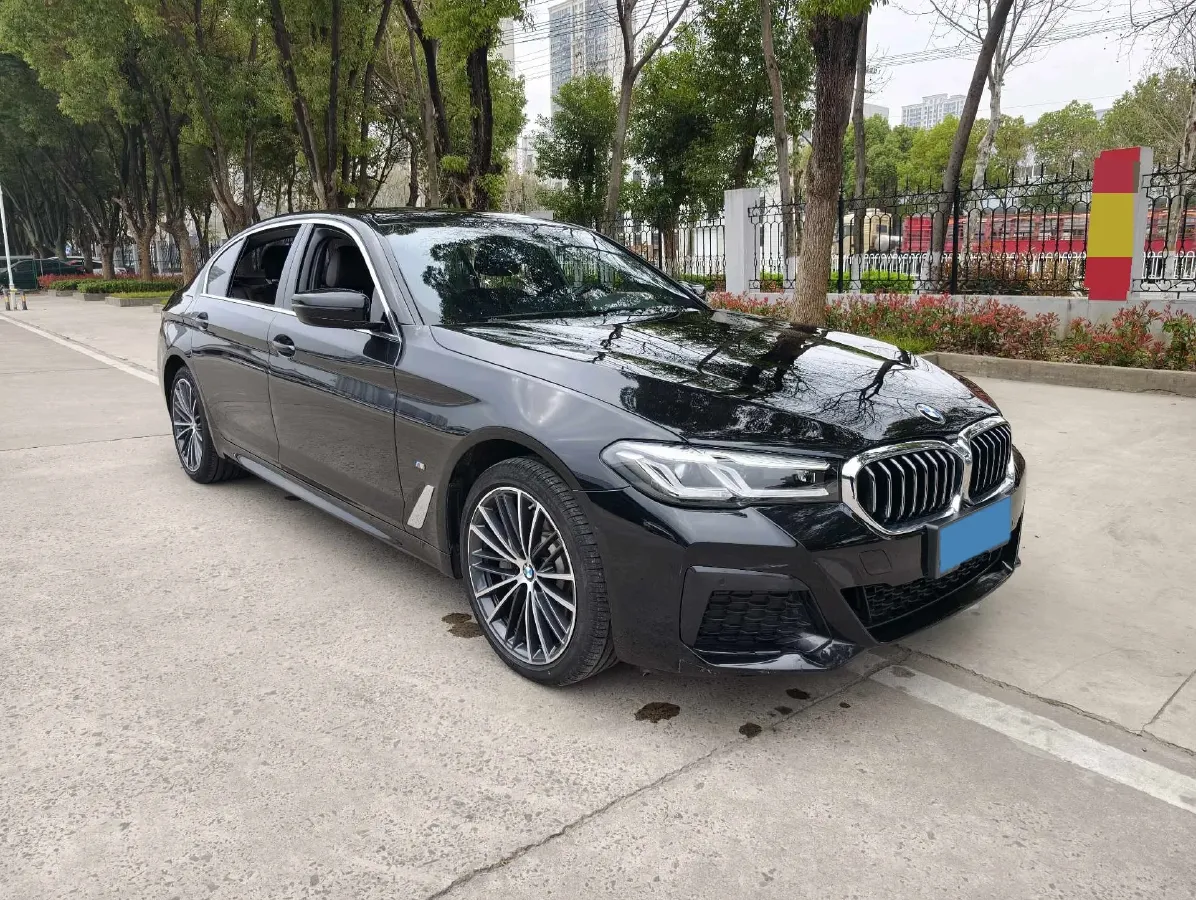 2023 BMW 5 Series 2.0T 245HP L4 8AT,autocango,china used car exporter,china ev exporter,chinese used car exporter,chinese used ev exporter