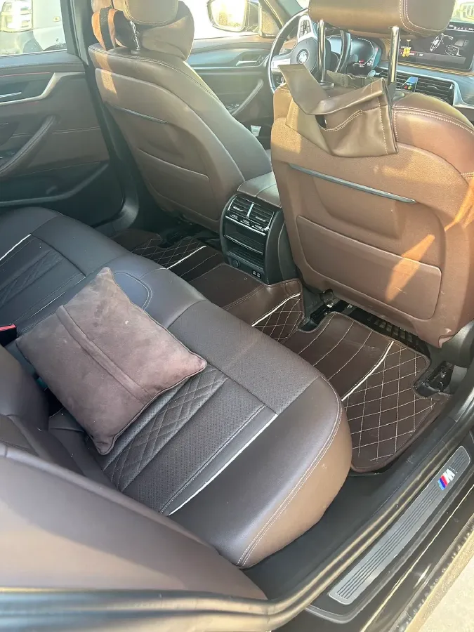 2021 BMW 5 Series 2.0T 252HP L4 8AT,autocango,china used car exporter,china ev exporter,chinese used car exporter,chinese used ev exporter