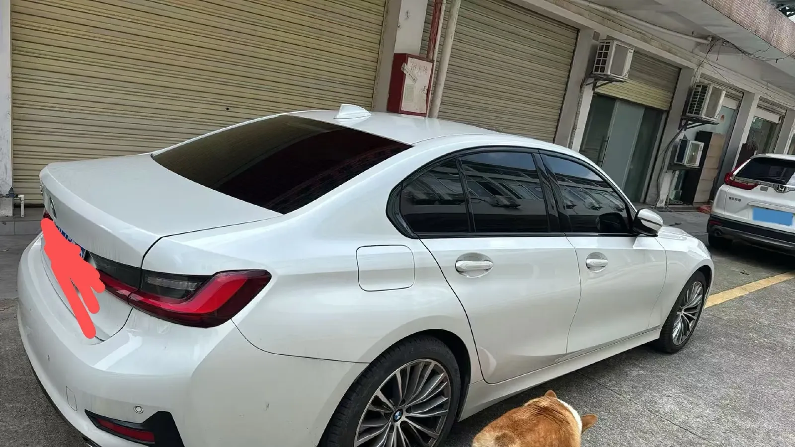 2022 BMW 3 Series 2.0T 156HP L4 8AT,autocango,china used car exporter,china ev exporter,chinese used car exporter,chinese used ev exporter