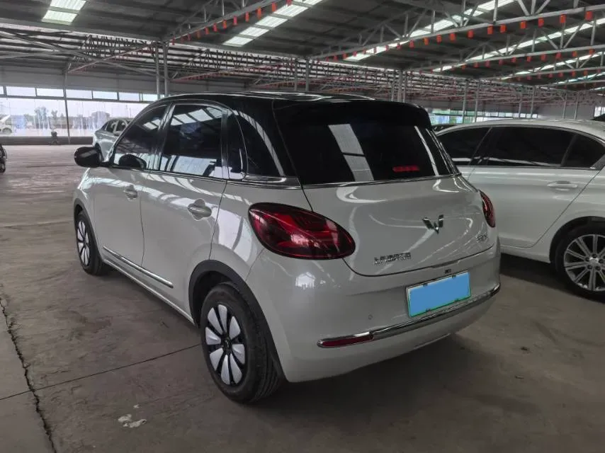 2025 WuLing BinGuo BEV,autocango,china used car exporter,china ev exporter,chinese used car exporter,chinese used ev exporter