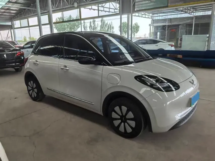 2025 WuLing BinGuo BEV,autocango,china used car exporter,china ev exporter,chinese used car exporter,chinese used ev exporter