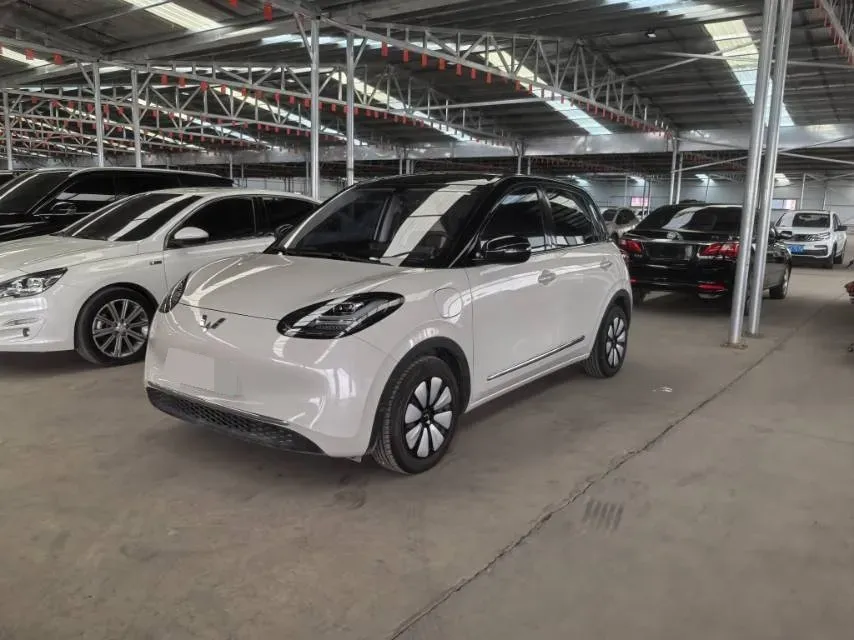 2025 WuLing BinGuo BEV,autocango,china used car exporter,china ev exporter,chinese used car exporter,chinese used ev exporter