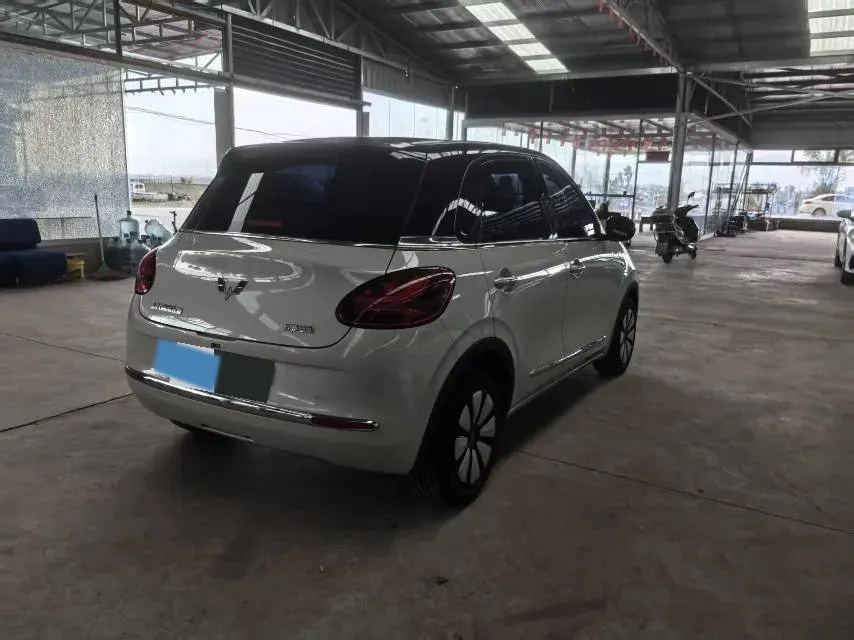 2025 WuLing BinGuo BEV,autocango,china used car exporter,china ev exporter,chinese used car exporter,chinese used ev exporter