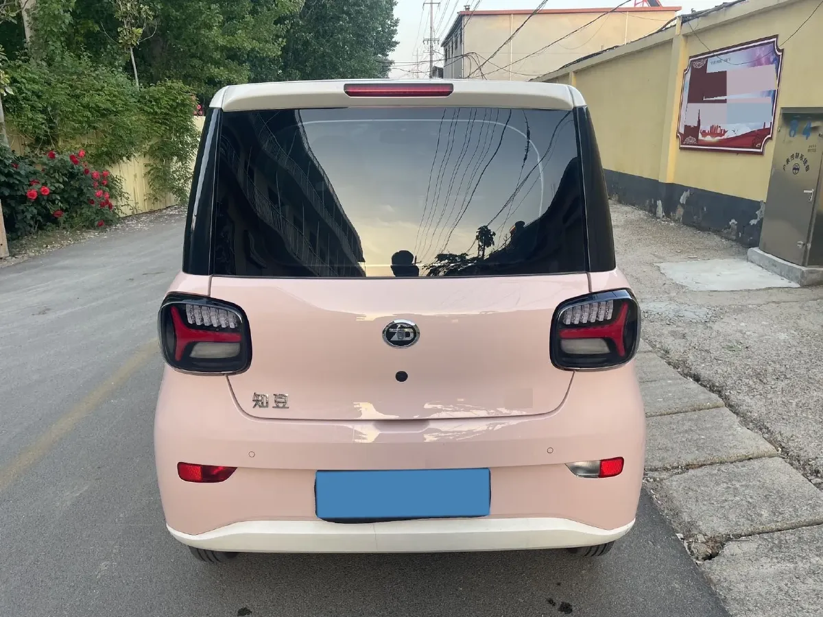 2024 ZD Rainbow BEV 17.3KWH,autocango,china used car exporter,china ev exporter,chinese used car exporter,chinese used ev exporter