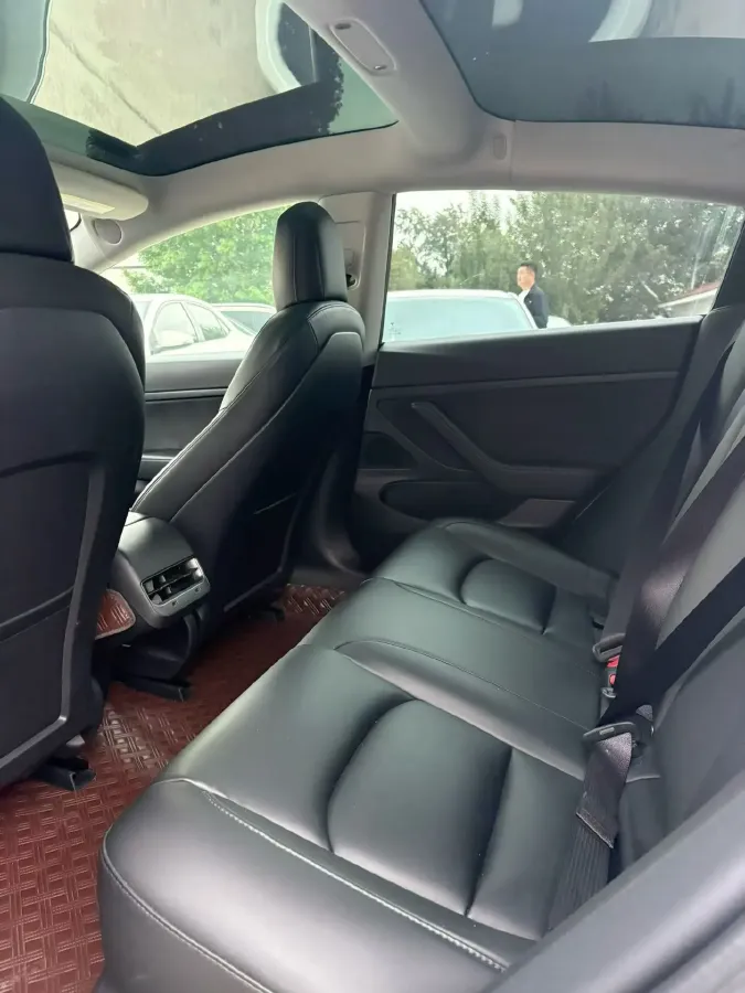 2020 Tesla Model 3 BEV 52KWH,autocango,china used car exporter,china ev exporter,chinese used car exporter,chinese used ev exporter