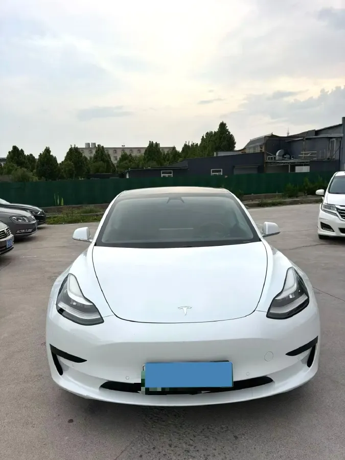 2020 Tesla Model 3 BEV 52KWH,autocango,china used car exporter,china ev exporter,chinese used car exporter,chinese used ev exporter