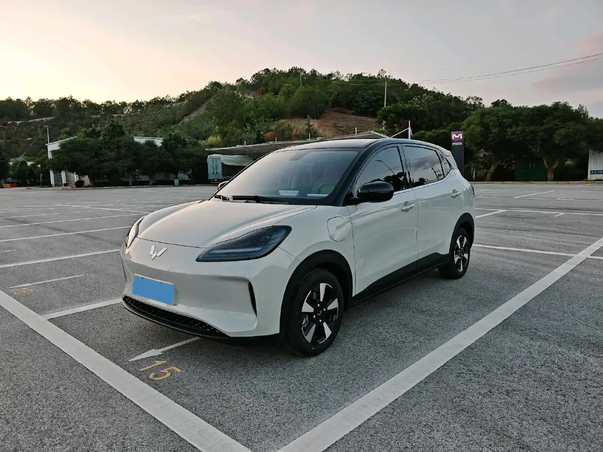 2024 WuLing BinGuoPLUS BEV 31.9KWH,autocango,china used car exporter,china ev exporter,chinese used car exporter,chinese used ev exporter