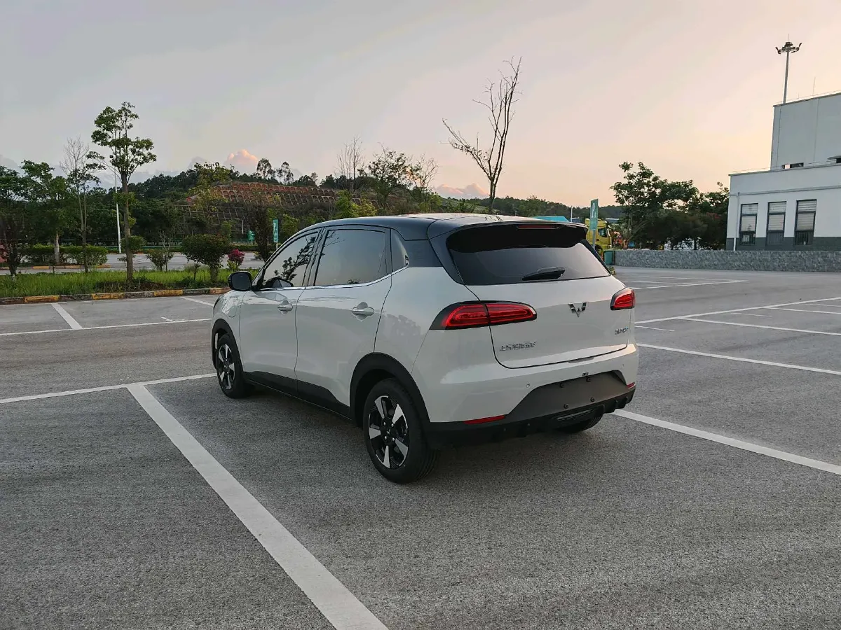 2024 WuLing BinGuoPLUS BEV 31.9KWH,autocango,china used car exporter,china ev exporter,chinese used car exporter,chinese used ev exporter