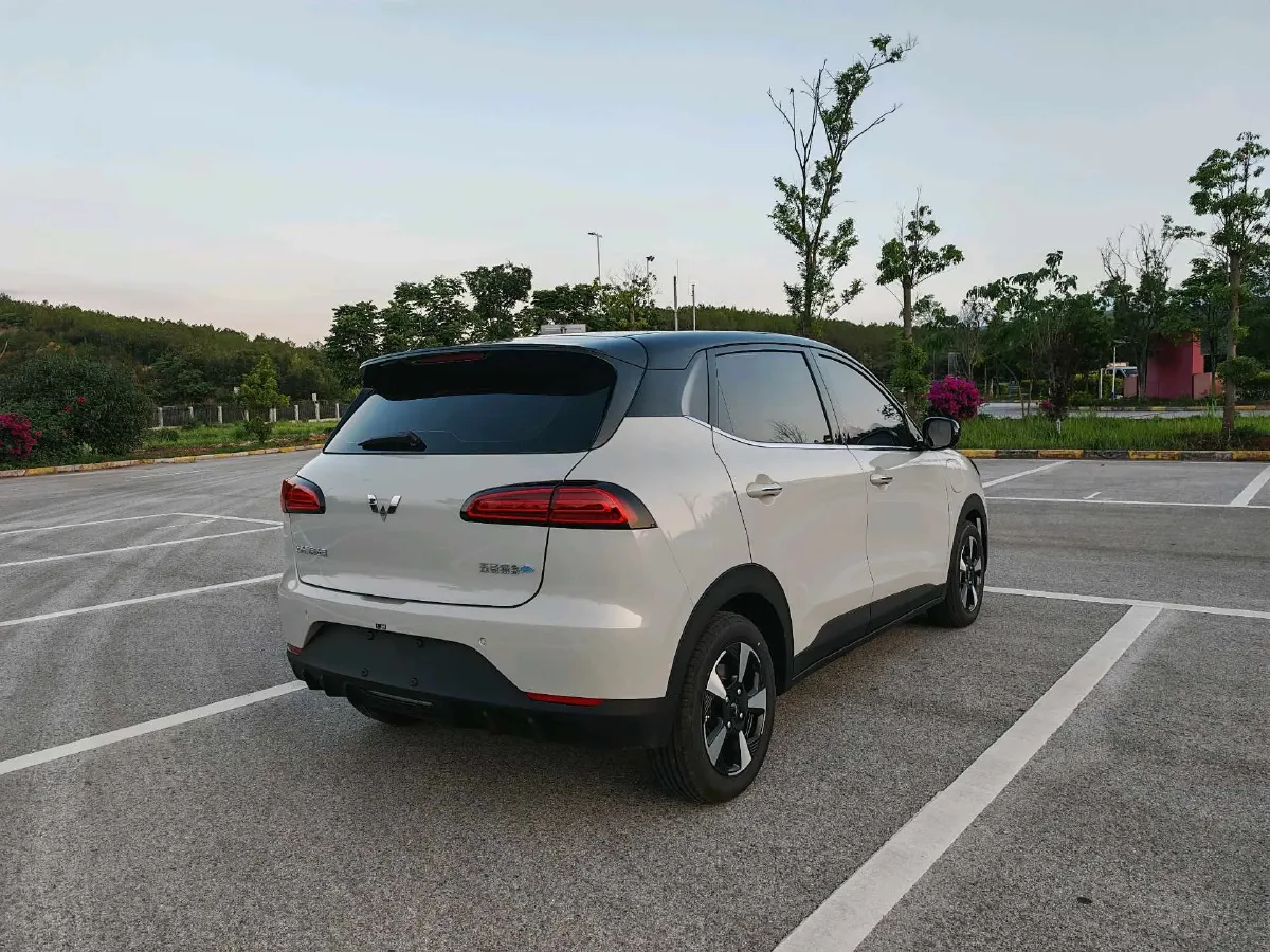 2024 WuLing BinGuoPLUS BEV 31.9KWH,autocango,china used car exporter,china ev exporter,chinese used car exporter,chinese used ev exporter
