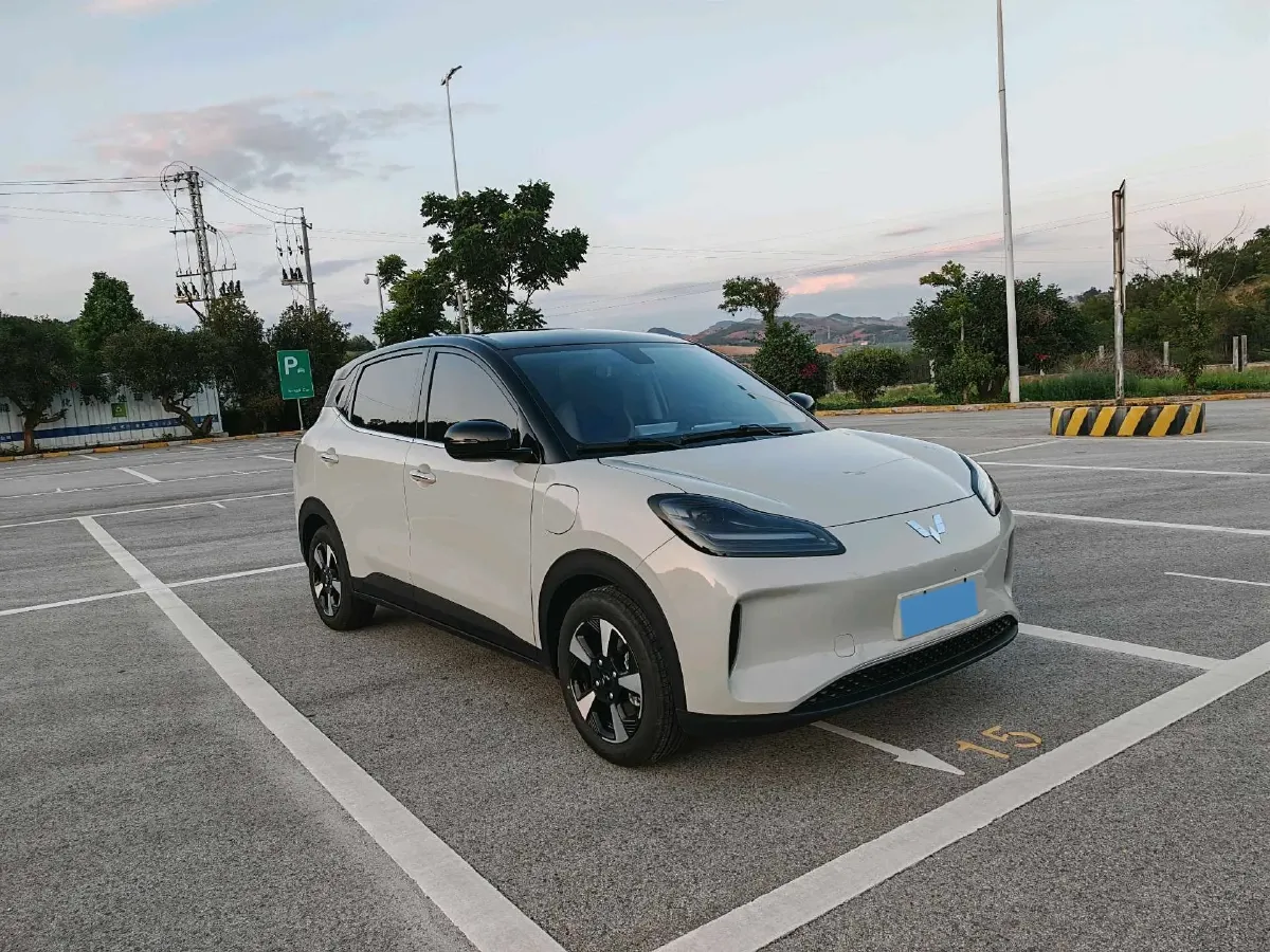 2024 WuLing BinGuoPLUS BEV 31.9KWH,autocango,china used car exporter,china ev exporter,chinese used car exporter,chinese used ev exporter