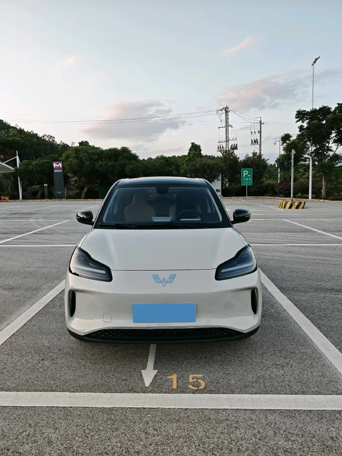 2024 WuLing BinGuoPLUS BEV 31.9KWH,autocango,china used car exporter,china ev exporter,chinese used car exporter,chinese used ev exporter