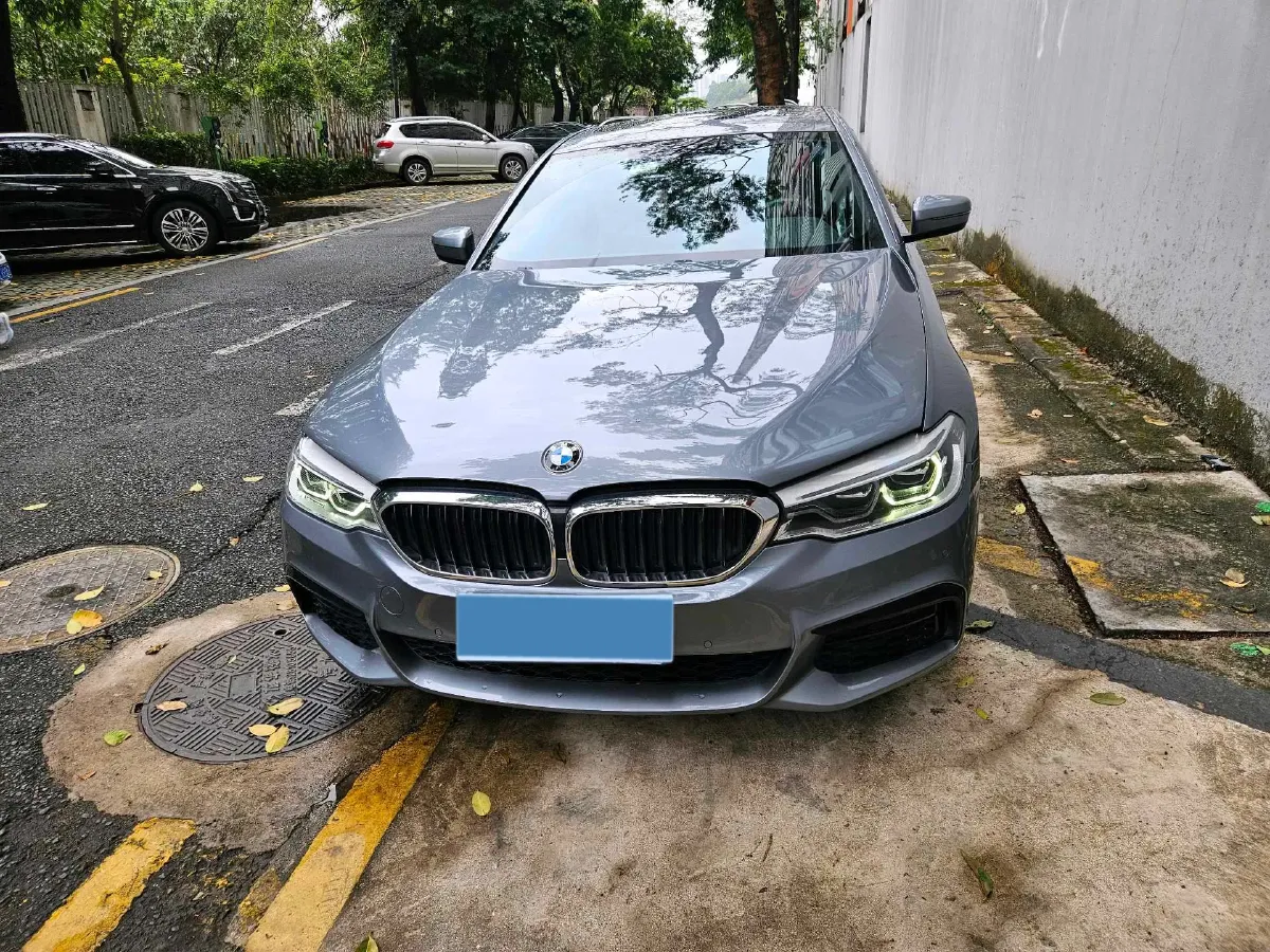 2020 BMW 5 Series 2.0T 184HP L4 8AT,autocango,china used car exporter,china ev exporter,chinese used car exporter,chinese used ev exporter