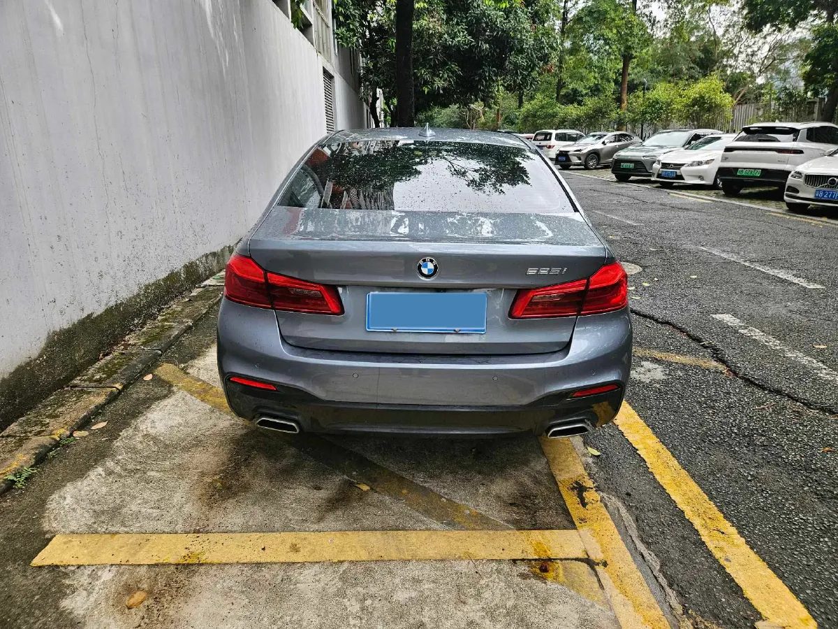 2020 BMW 5 Series 2.0T 184HP L4 8AT,autocango,china used car exporter,china ev exporter,chinese used car exporter,chinese used ev exporter