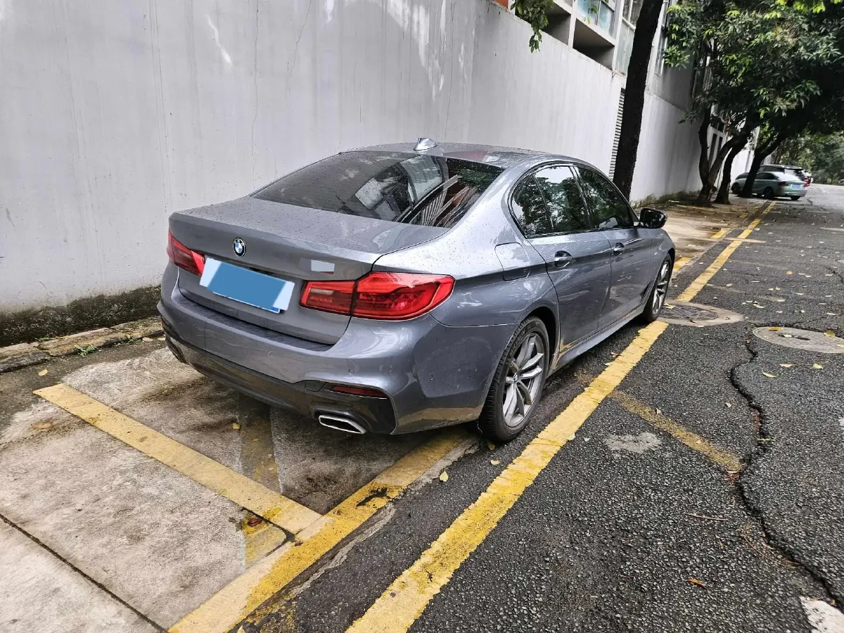 2020 BMW 5 Series 2.0T 184HP L4 8AT,autocango,china used car exporter,china ev exporter,chinese used car exporter,chinese used ev exporter