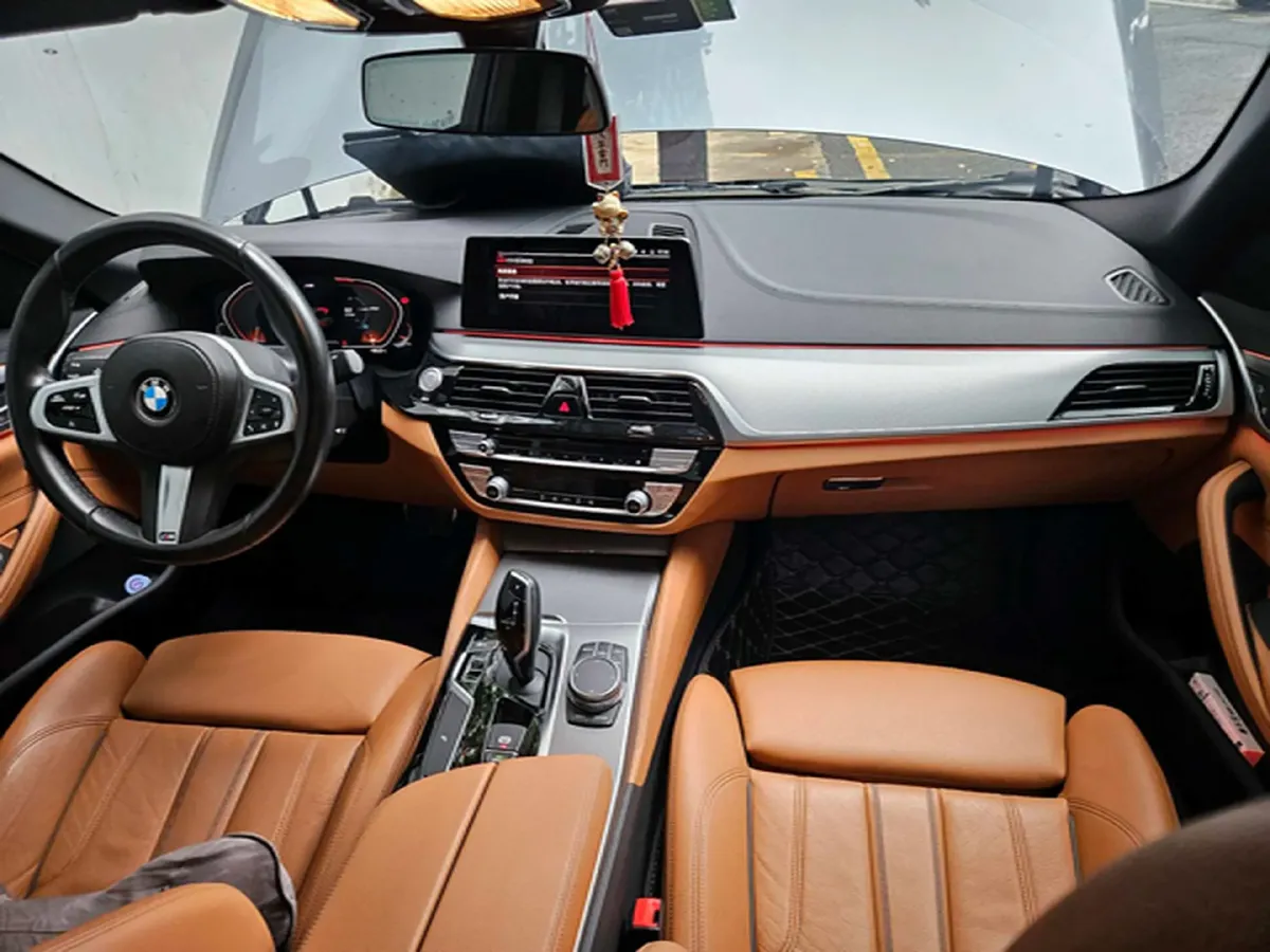 2020 BMW 5 Series 2.0T 184HP L4 8AT,autocango,china used car exporter,china ev exporter,chinese used car exporter,chinese used ev exporter