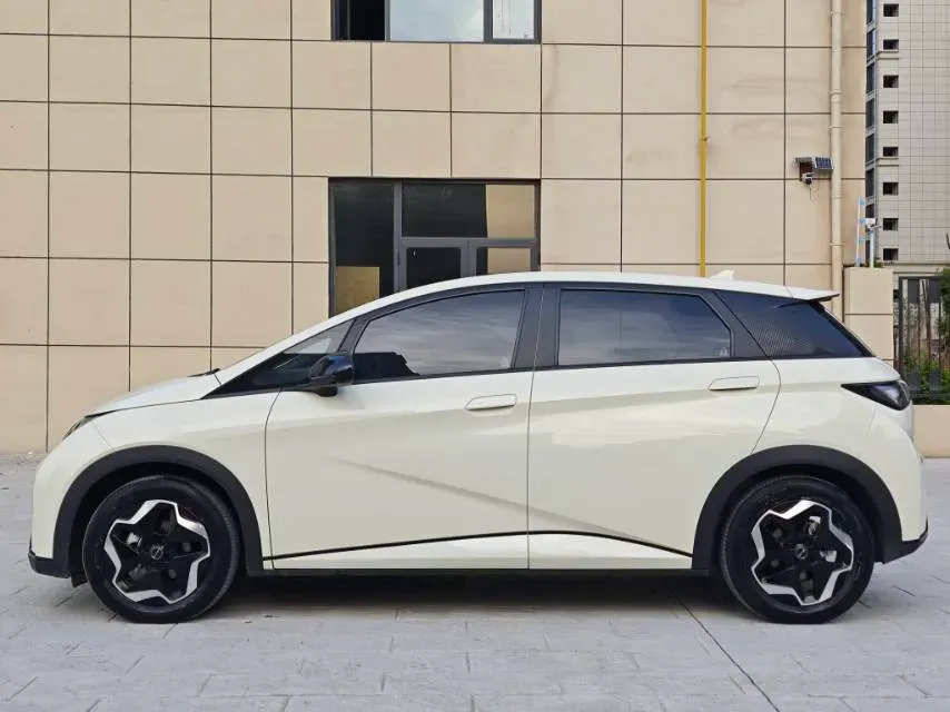 2021 BYD Yuan Pro BEV 50.1KWH,autocango,china used car exporter,china ev exporter,chinese used car exporter,chinese used ev exporter